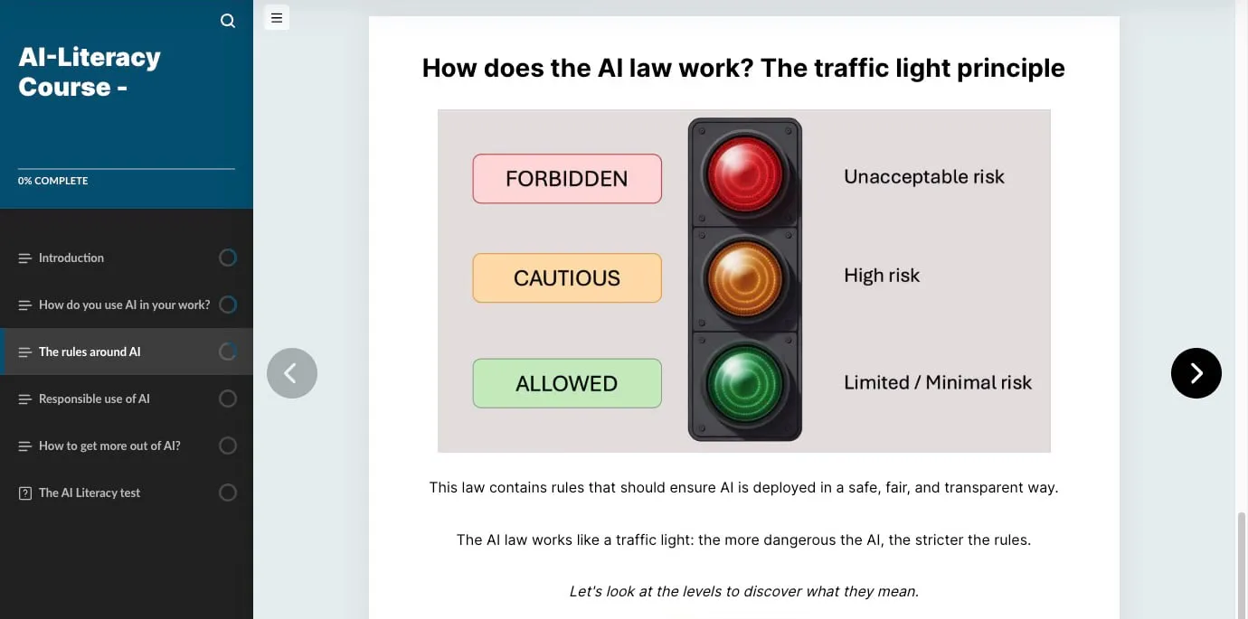 The four risk levels of the EU AI Act